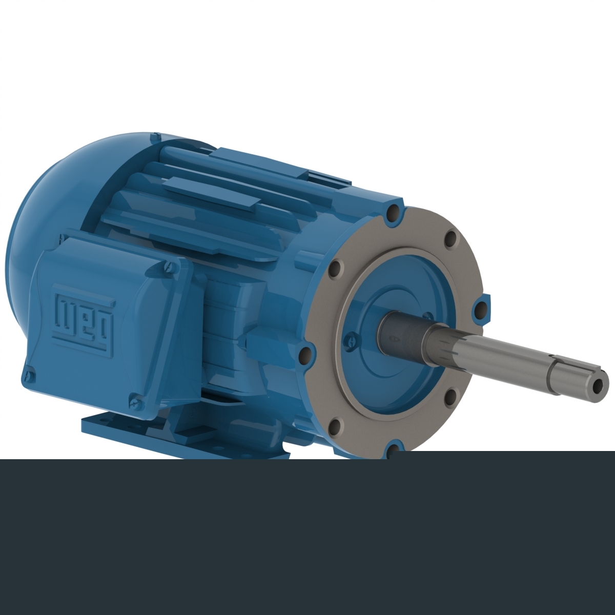 11524390 Part Image. Manufactured by WEG.