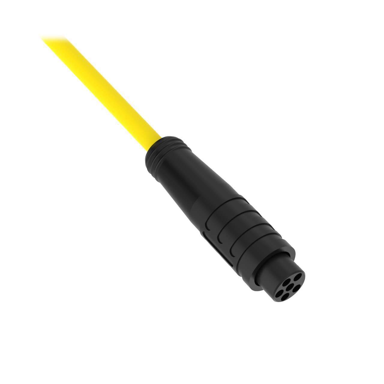 Banner PKG6Z-2 Cordset: Single Ended M8 Snap; 6-pin Straight Female Connector; 2 m (6.56 ft) Yellow PVC Jacket; Nylon Black Nut Banner PKG6Z-2 Cordset: Single Ended M8 Snap; 6-pin Straight Female Connector; 2 m (6.56 ft) Yellow PVC Jacket; Nylon Black Nut