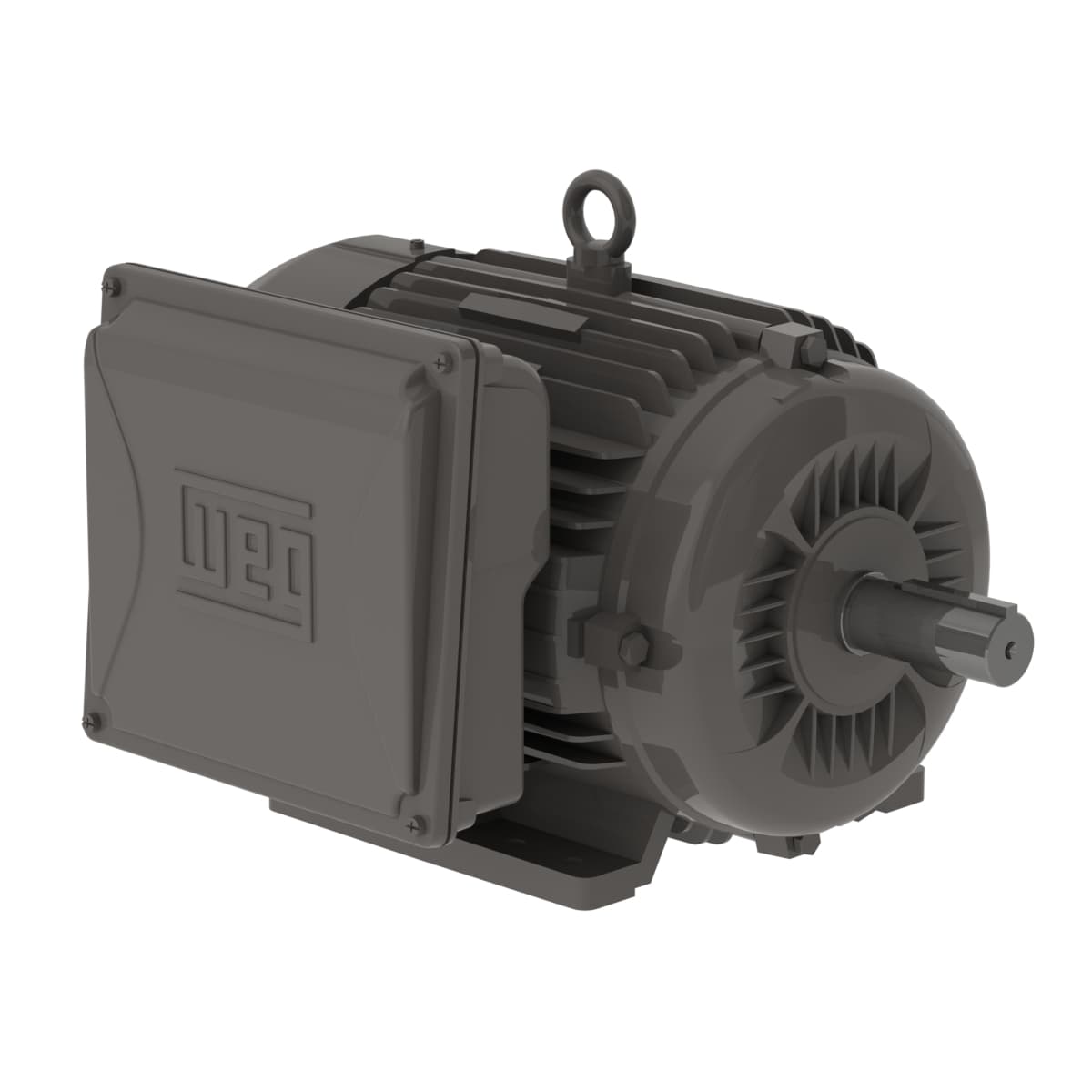 WEG 00736ES1B213T-W22 W22 7.5 HP 2P 213/5T 1Ph 115/208-230 V 60 Hz IC411 - TEFC - Foot-mounted WEG 00736ES1B213T-W22 W22 7.5 HP 2P 213/5T 1Ph 115/208-230 V 60 Hz IC411 - TEFC - Foot-mounted