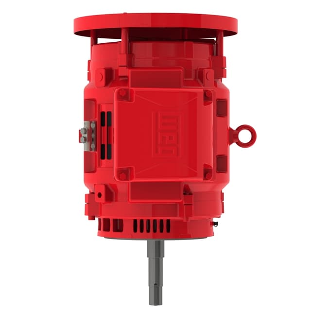 10036OP3EFP365JPV-W4 Part Image. Manufactured by WEG.