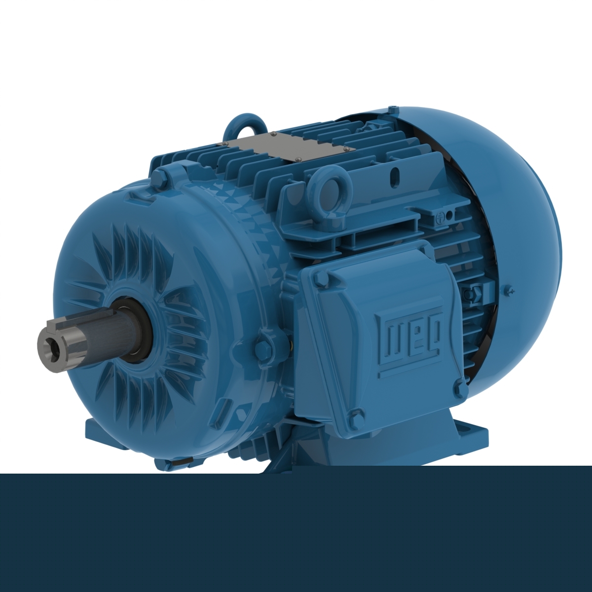 00309ET3YAL132M-W22 Part Image. Manufactured by WEG.