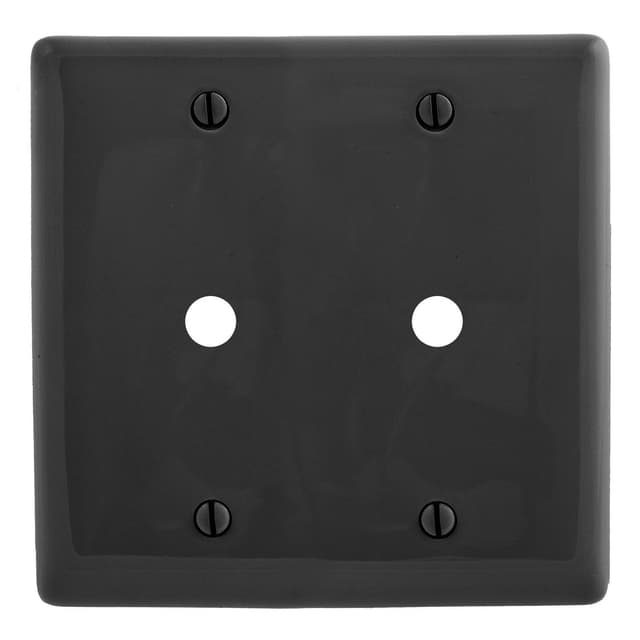 NP21BK Part Image. Manufactured by Hubbell.