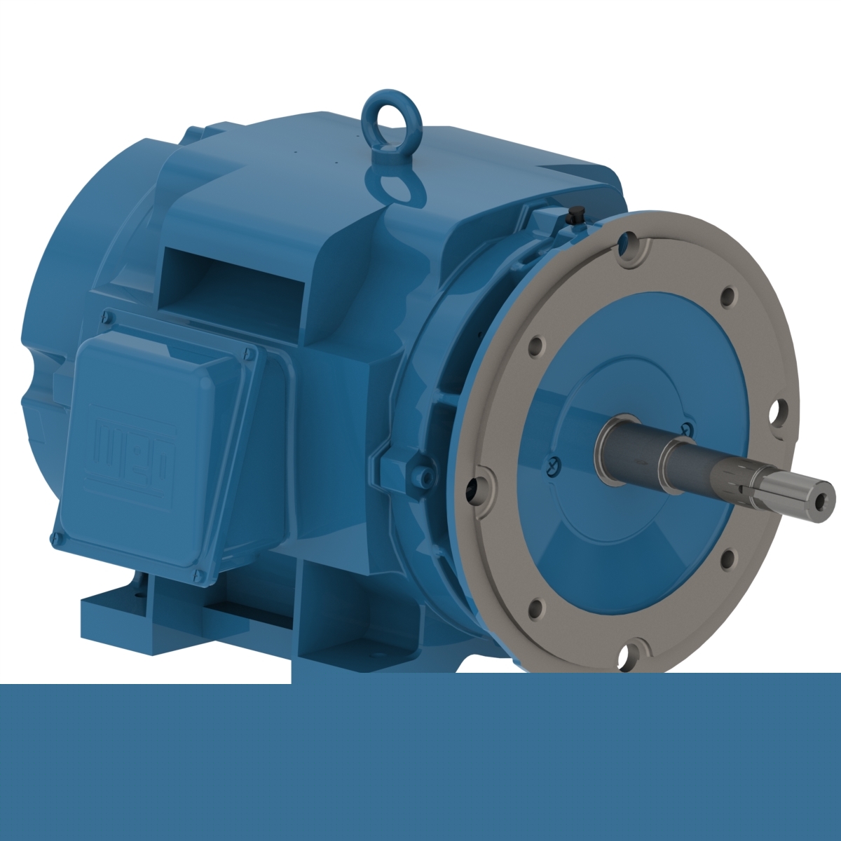 11406724 Part Image. Manufactured by WEG.