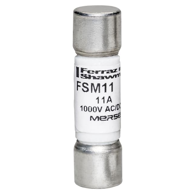 FSM11 Part Image. Manufactured by Mersen.