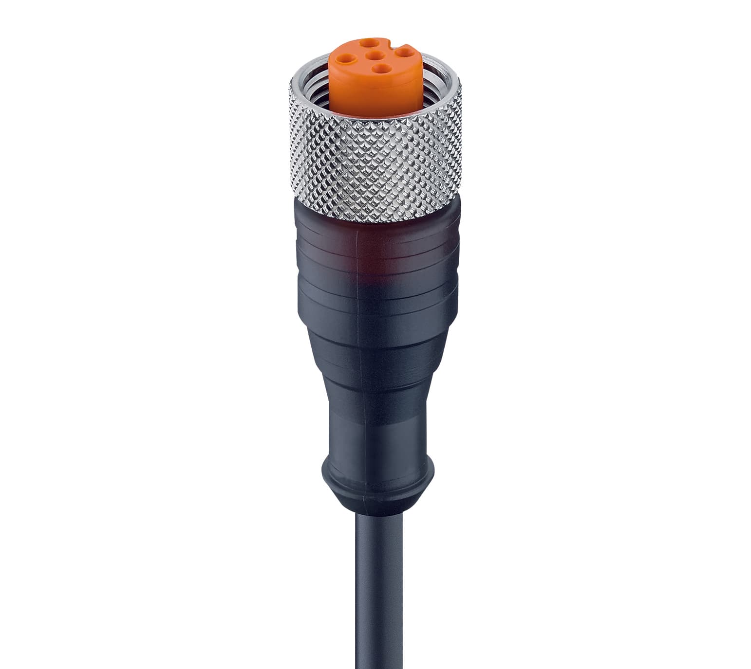 Belden 71454 M12 Standard Sensor/Actuator Single-Ended Cordset: Female, straight, 5-pin, A-coded, translucent body, 50 V AC / 60 V DC, 4 A; PUR black cable, 5-wires, 0.50 mm², RKT 5-228/0,5 M, 0.5 m, 4 A Belden 71454 M12 Standard Sensor/Actuator Single-Ended Cordset: Female, straight, 5-pin, A-coded, translucent body, 50 V AC / 60 V DC, 4 A; PUR black cable, 5-wires, 0.50 mm², RKT 5-228/0,5 M, 0.5 m, 4 A