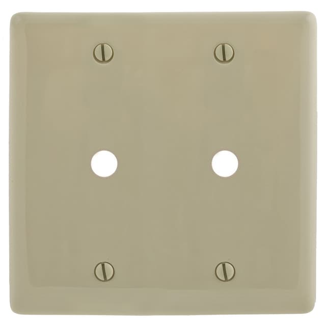 NP21I Part Image. Manufactured by Hubbell.