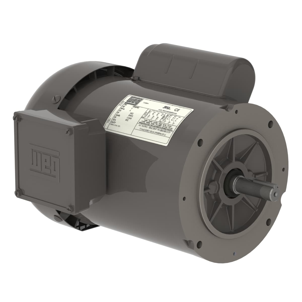 WEG 10034801 General 0.33 HP 4P B56C 1Ph 115/208-230 V 60 Hz IC411 - TEFC - Footless WEG 10034801 General 0.33 HP 4P B56C 1Ph 115/208-230 V 60 Hz IC411 - TEFC - Footless
