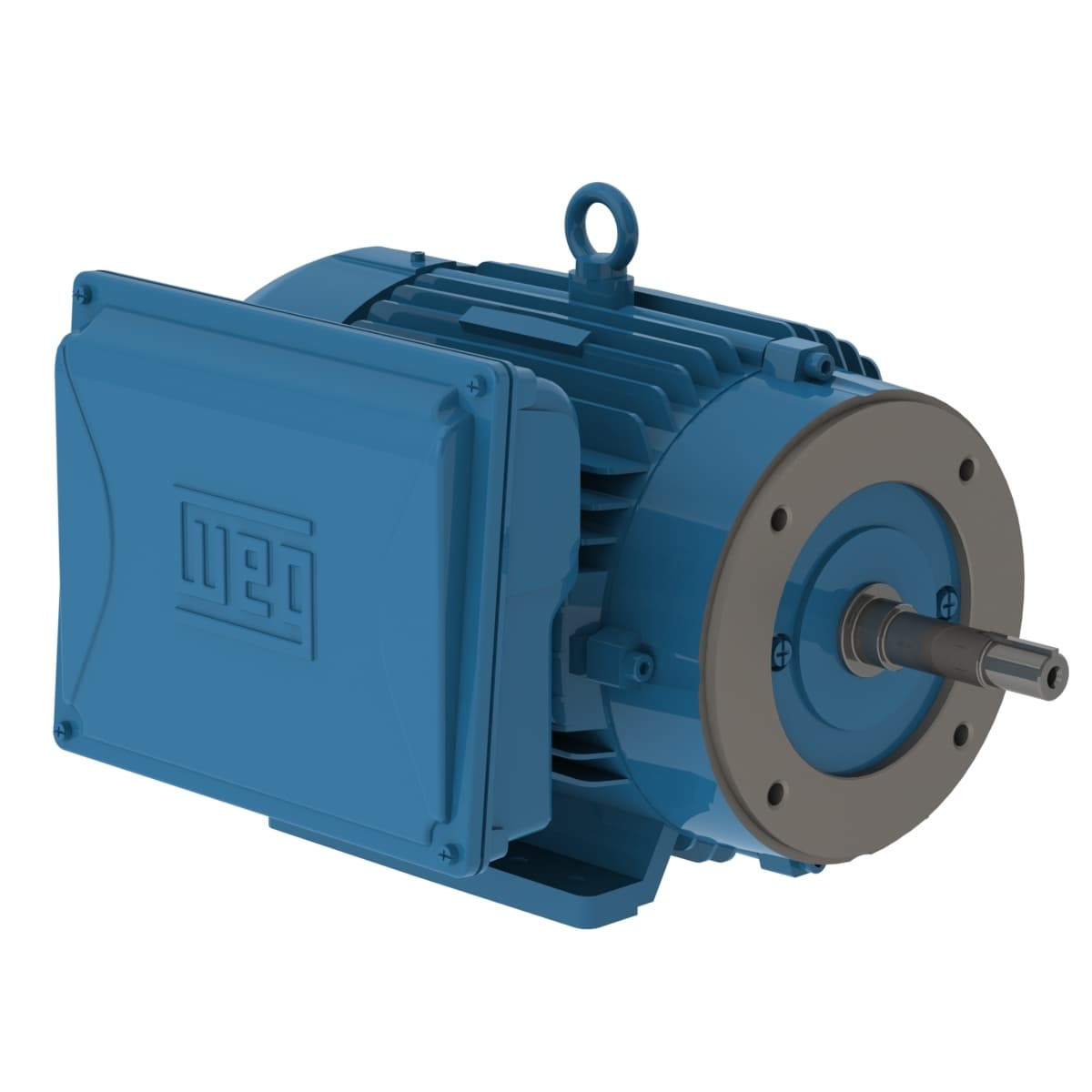 WEG 00718ES1E215JM-W22 W22 JM Pump 7.5 HP 4P 213/5JM 1Ph 208-230/460 V 60 Hz IC411 - TEFC - Foot-mounted WEG 00718ES1E215JM-W22 W22 JM Pump 7.5 HP 4P 213/5JM 1Ph 208-230/460 V 60 Hz IC411 - TEFC - Foot-mounted